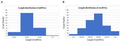 Non-coding transcriptomic profiles in the sheep mammary gland during different lactation periods